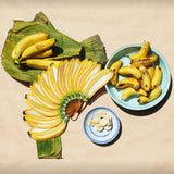 Pisang (Banana) Fan