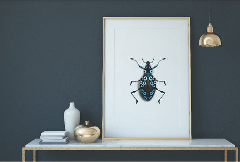 Beetle Study 1 Print